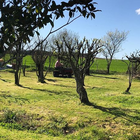 Les Geais Bed & Breakfast Saint-Pierre-la-Noue Eksteriør bilde
